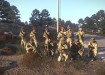 arma3 2015-08-27 00-13-48-41